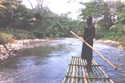 Name:  80499.jpg
Views: 397
Size:  15.7 KB