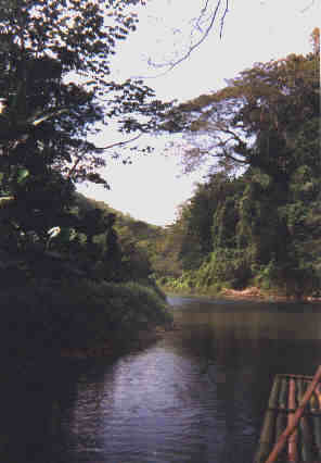 Name:  81099.jpg
Views: 412
Size:  12.8 KB