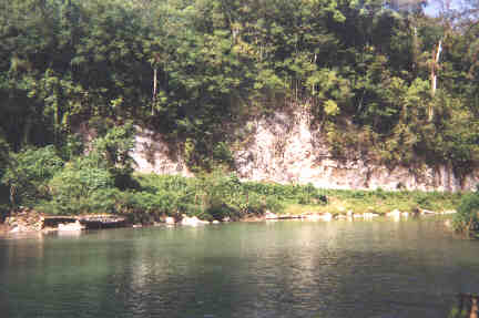 Name:  81699.jpg
Views: 399
Size:  16.4 KB