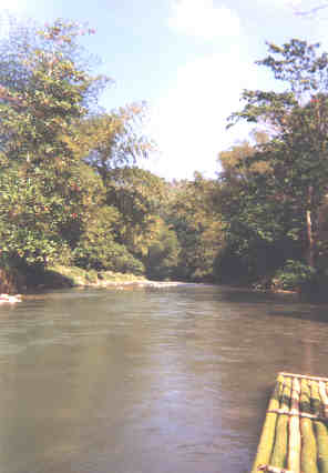 Name:  81899.jpg
Views: 428
Size:  13.2 KB