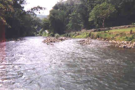 Name:  82099.jpg
Views: 388
Size:  14.2 KB