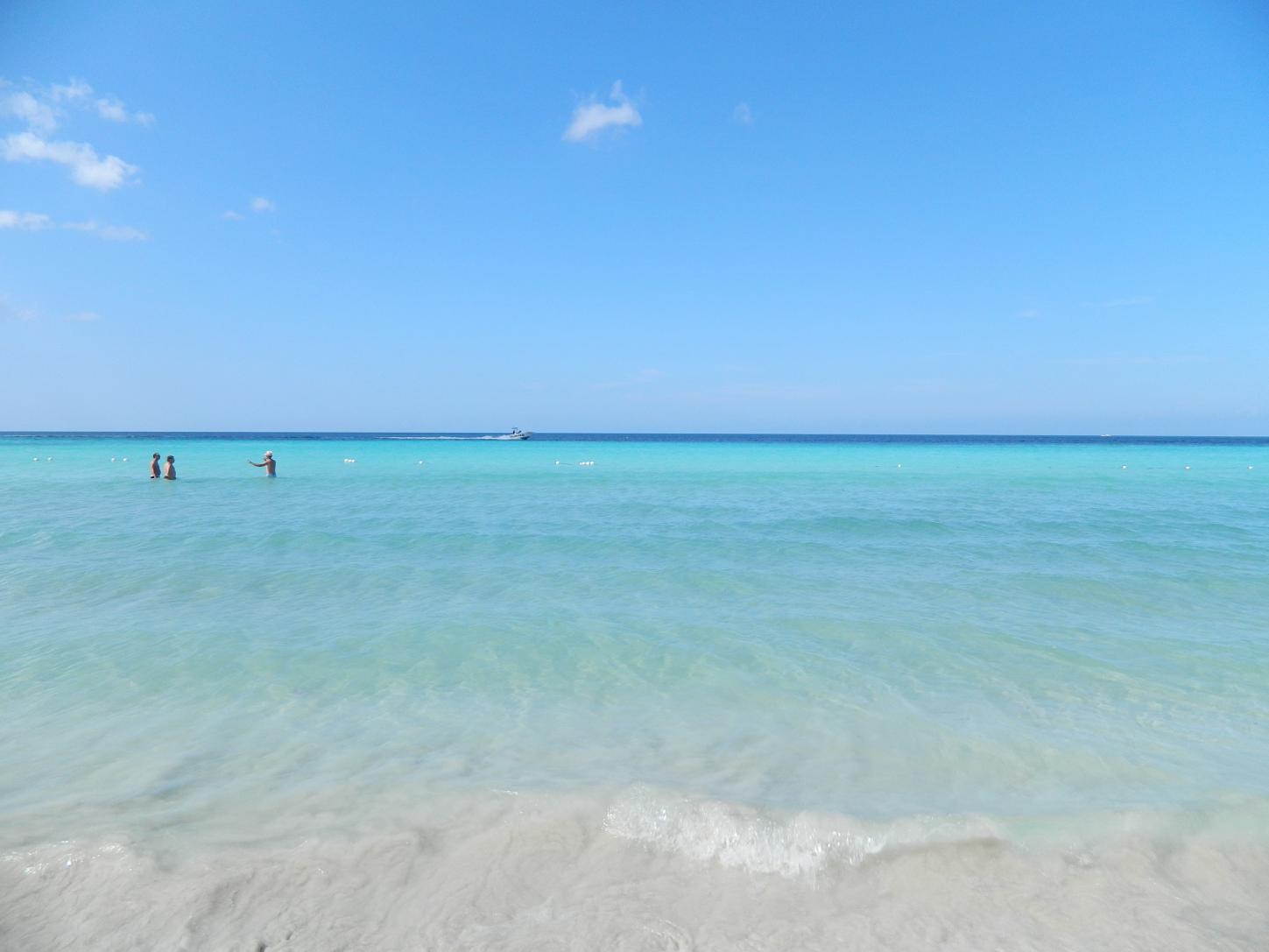 Name:  Negril January 2013 009.jpg
Views: 362
Size:  86.9 KB