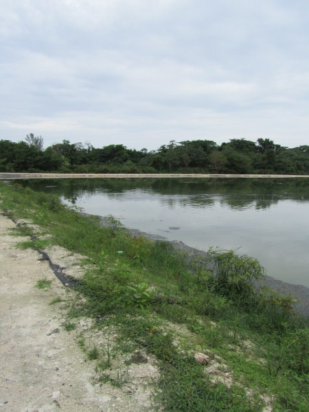 Name:  Jamaica 2011 - Negril Treatment Plant - IMG_0607.jpg
Views: 1324
Size:  64.1 KB