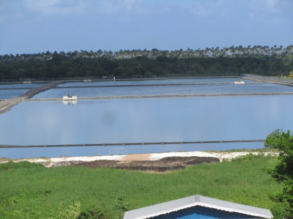 Name:  Jamaica 2012 Negril Treatment Plant  IMG_4077.jpg
Views: 483
Size:  54.8 KB