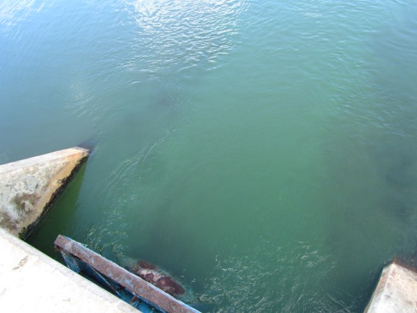 Name:  Jamaica 2012 Negril Treatment Plant  IMG_4030.jpg
Views: 568
Size:  46.8 KB