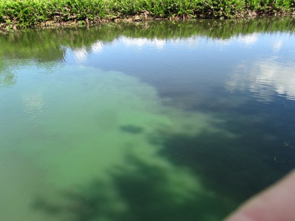 Name:  Jamaica 2012 Negril Treatment Plant  IMG_4032.jpg
Views: 540
Size:  54.8 KB