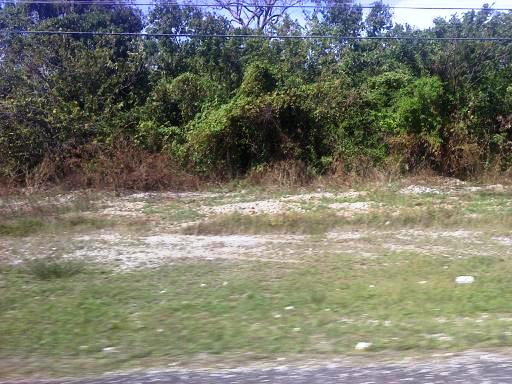 Name:  downsized_1227121158.jpg
Views: 2687
Size:  52.4 KB