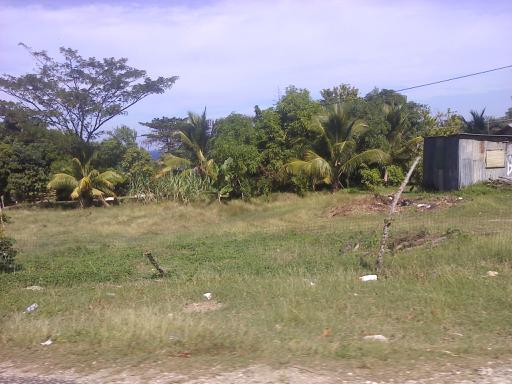 Name:  downsized_1227121159b.jpg
Views: 2680
Size:  38.3 KB