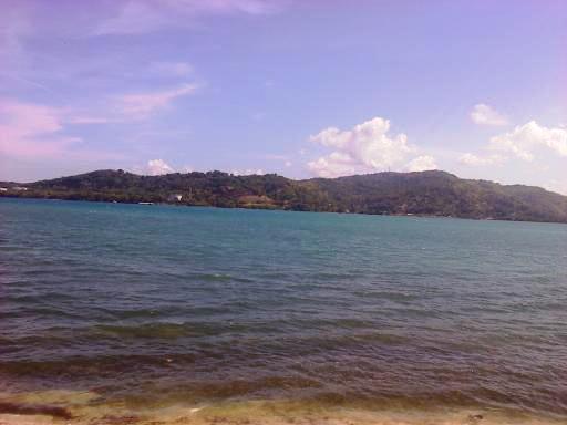 Name:  downsized_1227121205a.jpg
Views: 2646
Size:  21.8 KB