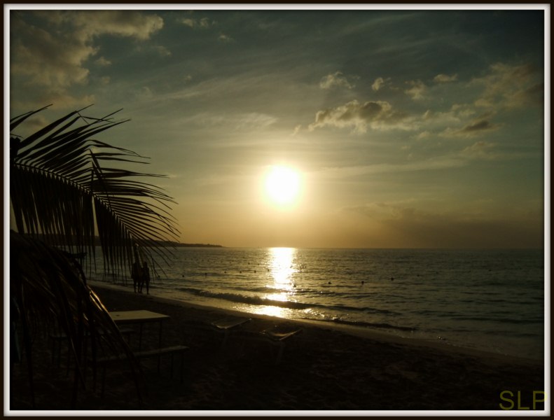 Name:  DSCF2378-001 [800x600].jpg
Views: 508
Size:  68.0 KB