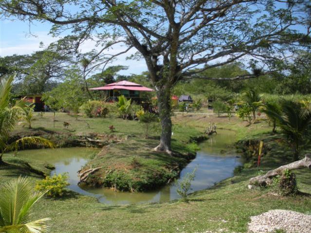 Name:  Percy's Yard (Small).jpg
Views: 470
Size:  74.0 KB
