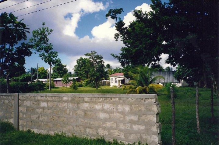 Name:  Negril 1990 #13.jpg
Views: 604
Size:  62.2 KB