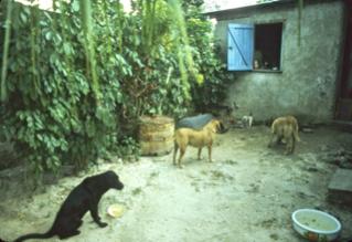 Name:  Untitled-103.jpg
Views: 1996
Size:  15.8 KB