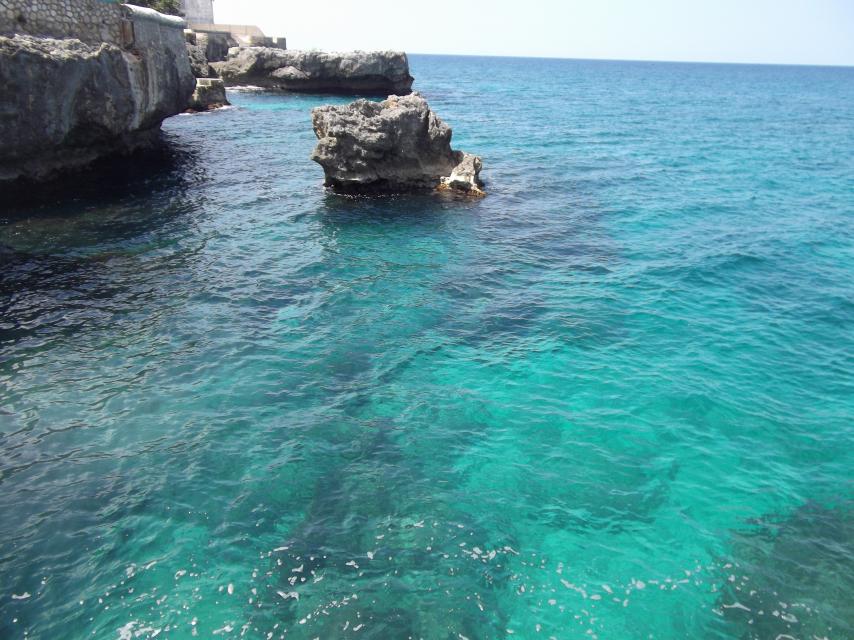Name:  DSCF0920.jpg
Views: 1309
Size:  96.1 KB