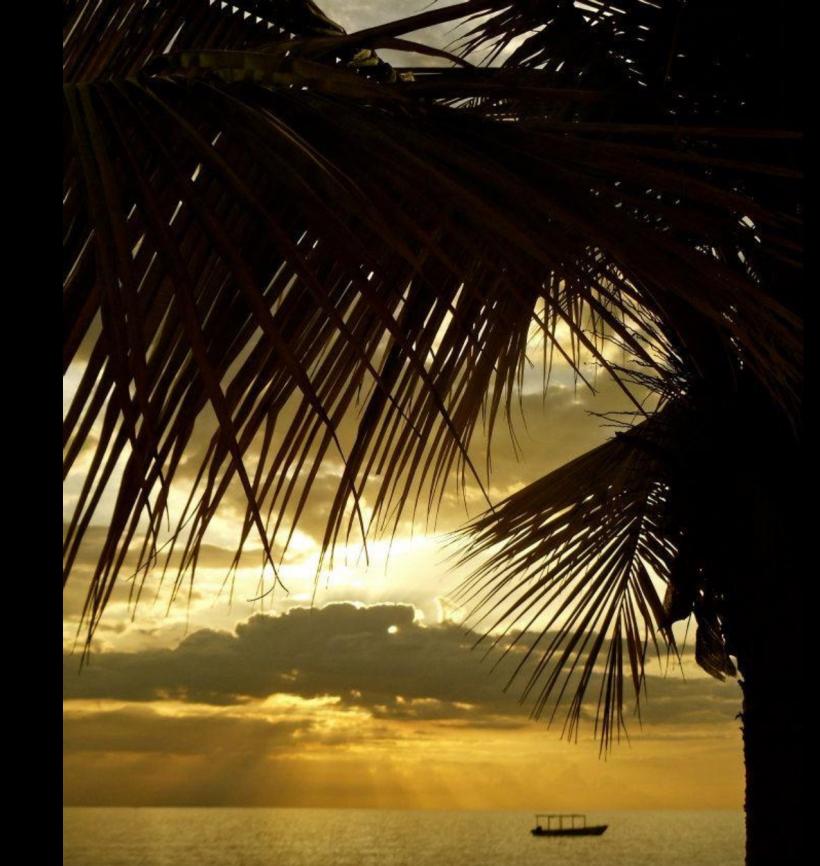 Name:  image.jpg
Views: 1253
Size:  86.6 KB