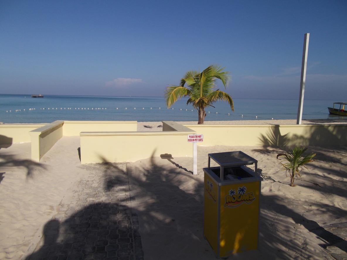 Name:  DSCF0990.jpg
Views: 1273
Size:  85.2 KB