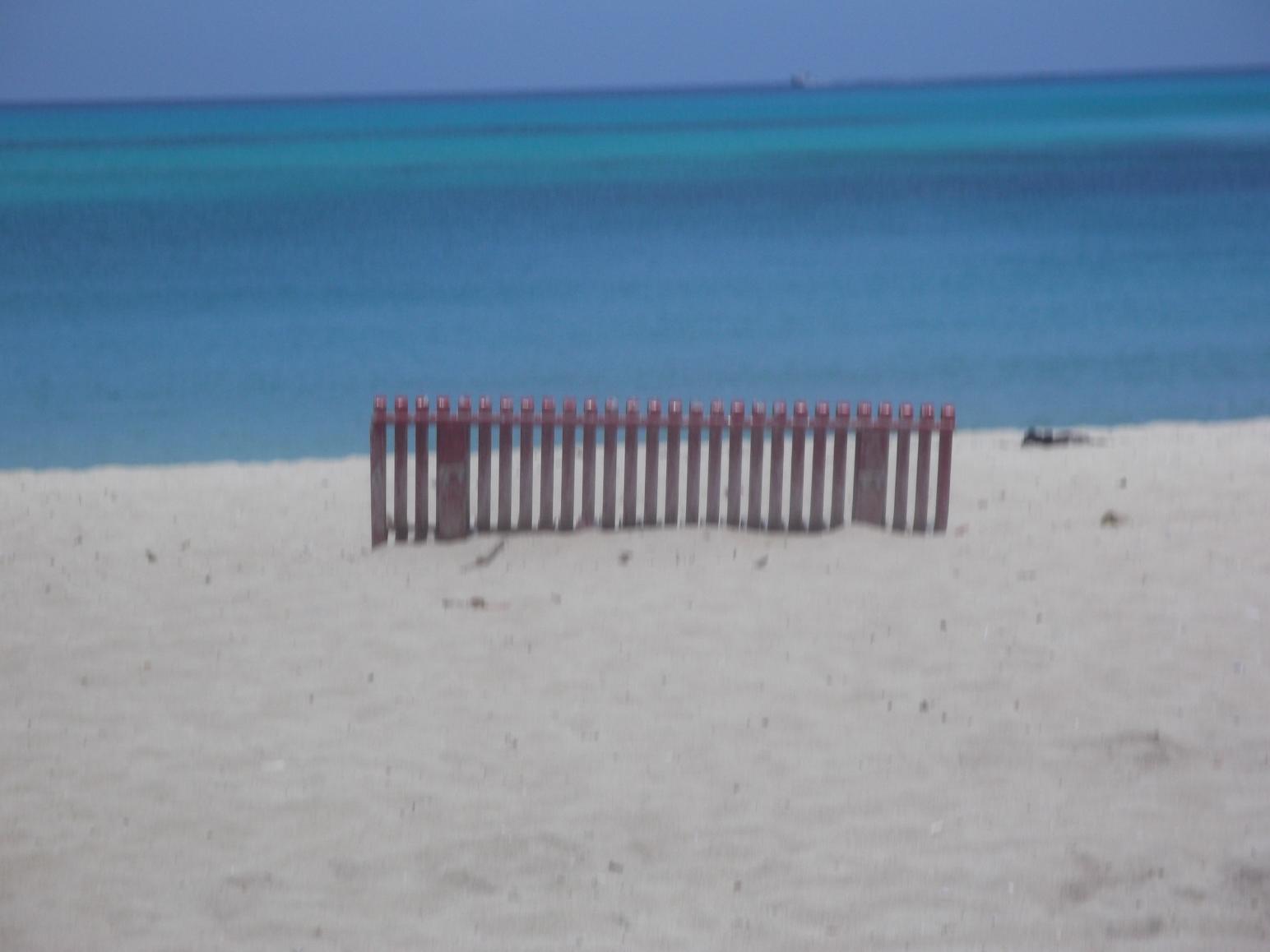 Name:  DSCF1046.jpg
Views: 1253
Size:  82.4 KB
