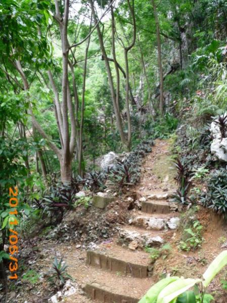 Name:  Jamaica 2011 - May 30 - Discovery Falls - DSCI1674.jpg
Views: 722
Size:  72.5 KB