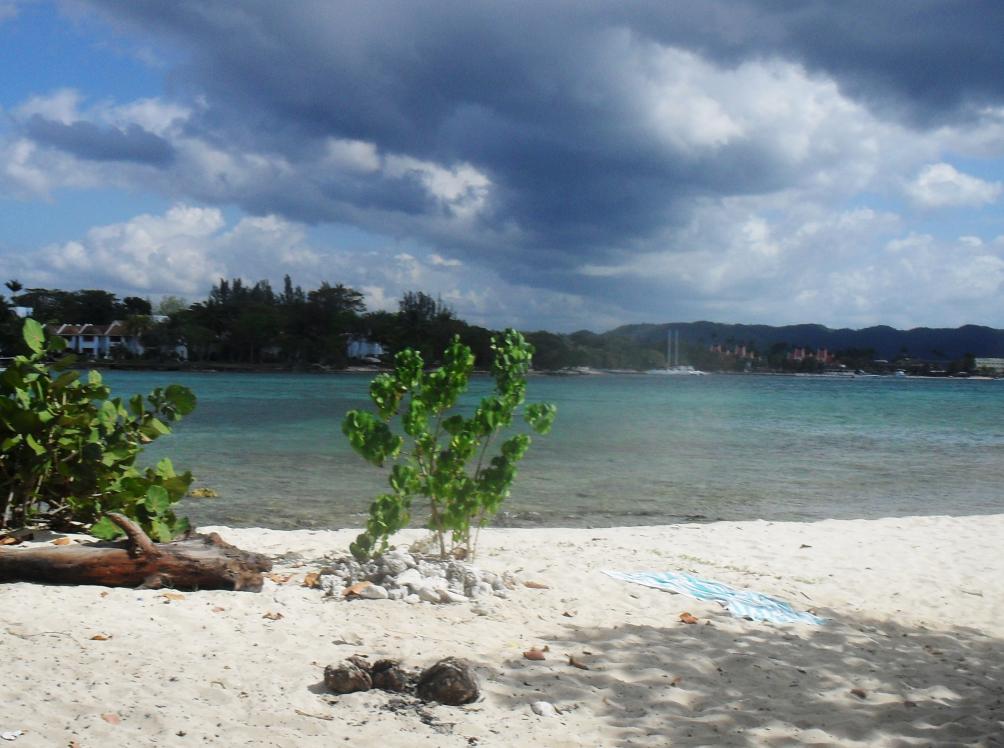 Name:  pretty cay.jpg
Views: 2584
Size:  92.2 KB