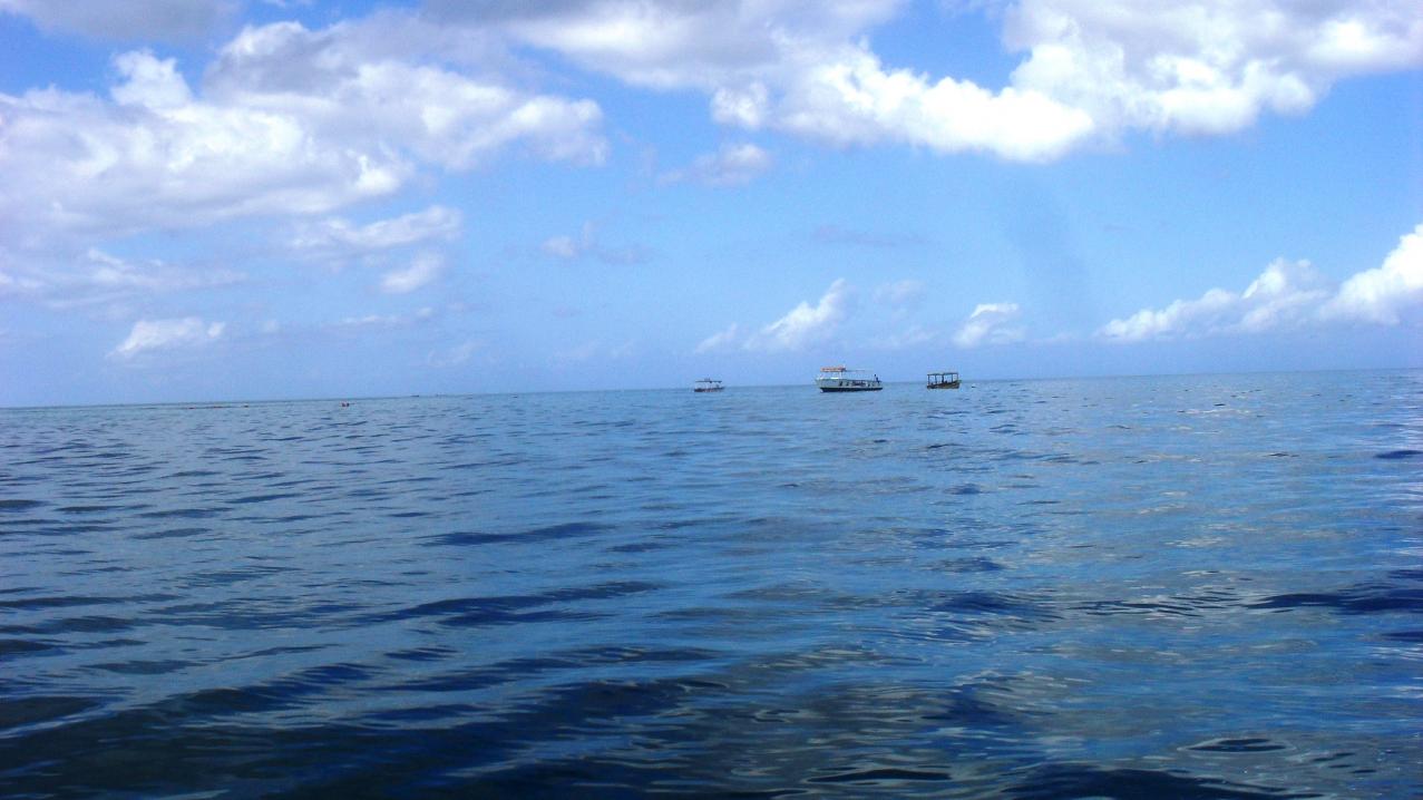 Name:  prety sea.jpg
Views: 2625
Size:  95.1 KB