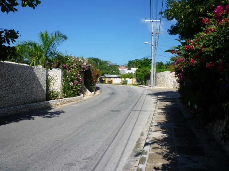 Name:  On the West End Road.jpg
Views: 1133
Size:  69.9 KB
