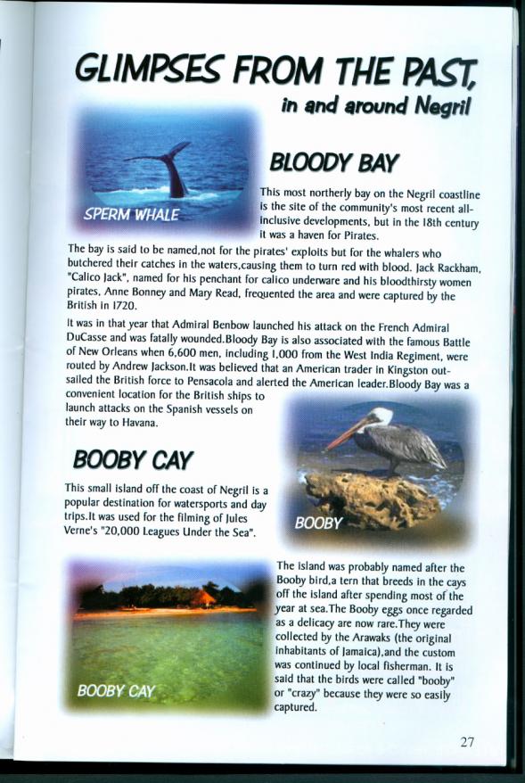 Name:  glimpses2001.jpg
Views: 419
Size:  98.0 KB
