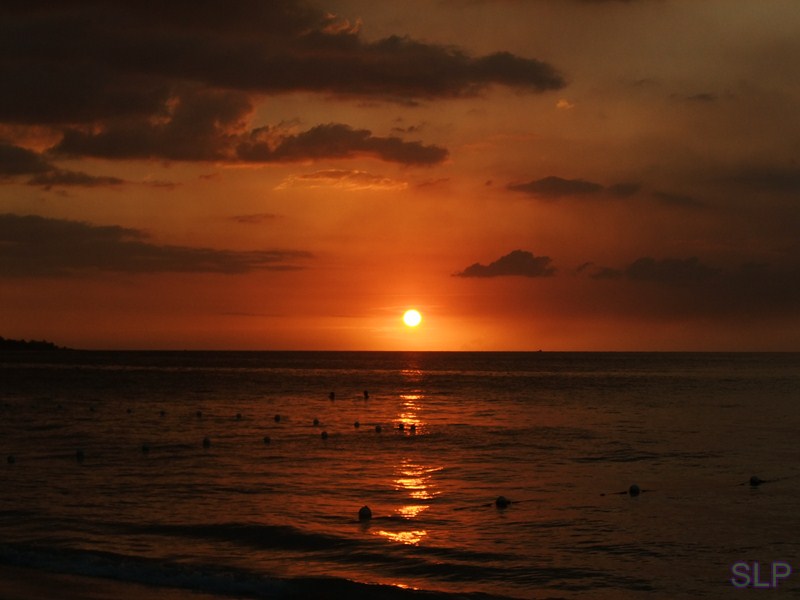 Name:  DSCF2382 (Copy).JPG
Views: 270
Size:  72.3 KB