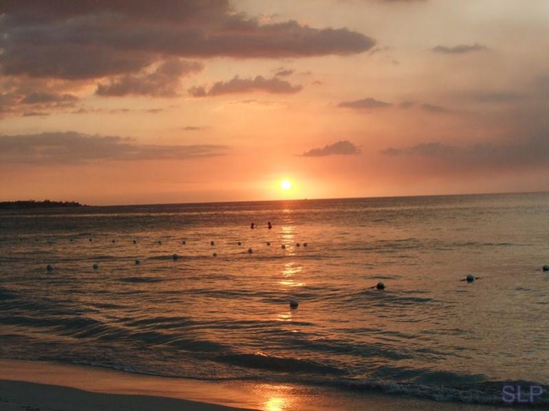 Name:  DSCF2385 (Copy).jpg
Views: 251
Size:  51.7 KB