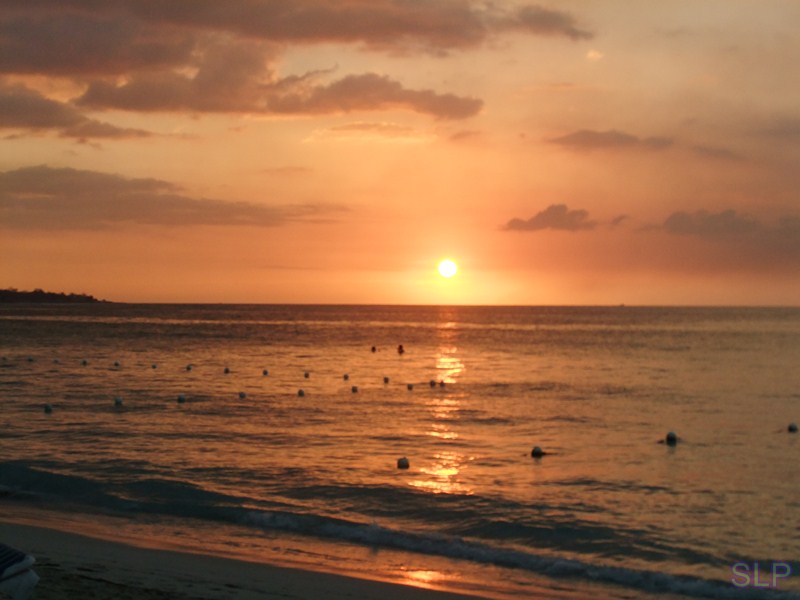 Name:  DSCF2381 (Copy).JPG
Views: 199
Size:  82.0 KB