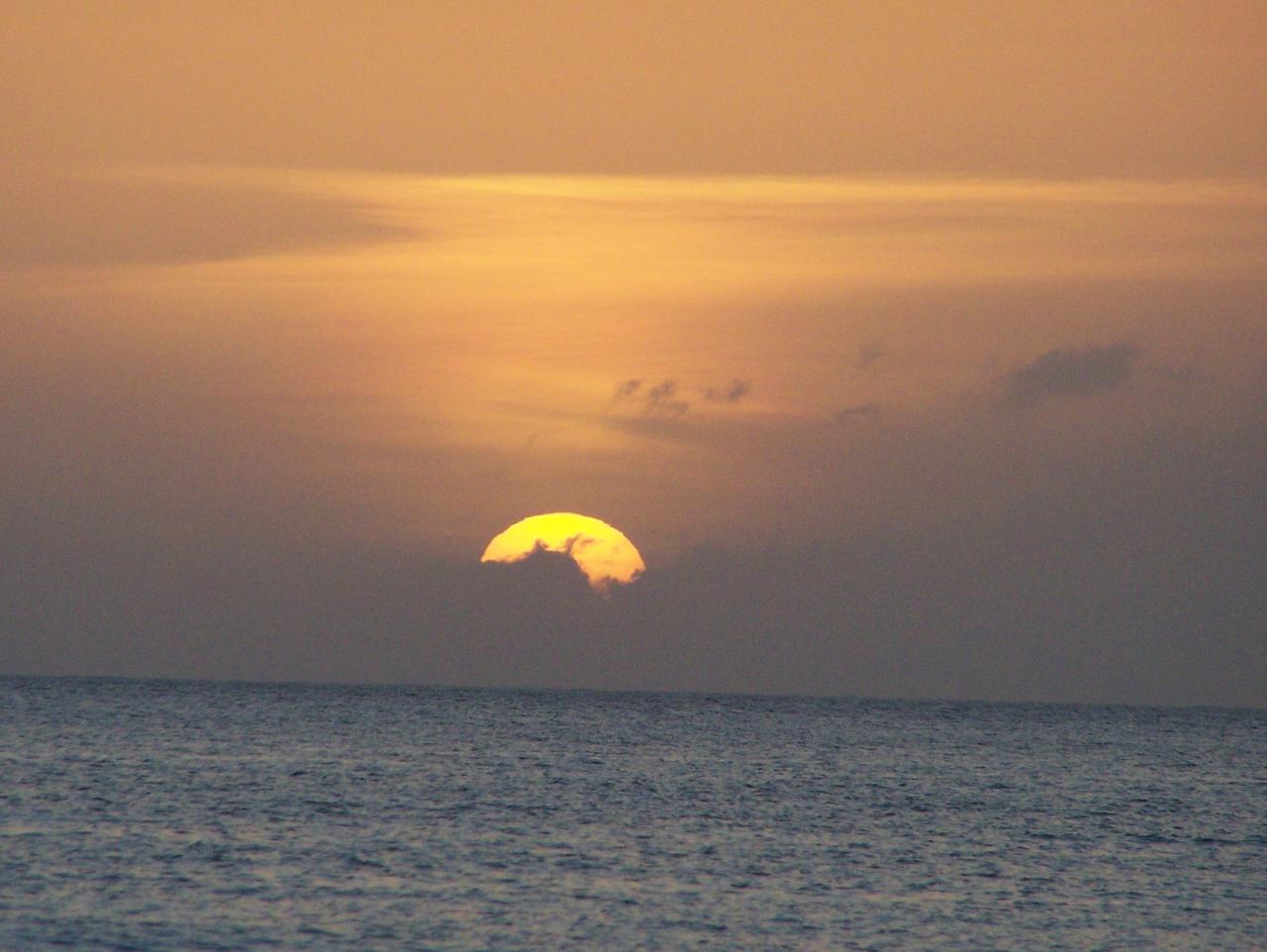 Name:  2010 2011 023.jpg
Views: 587
Size:  102.3 KB