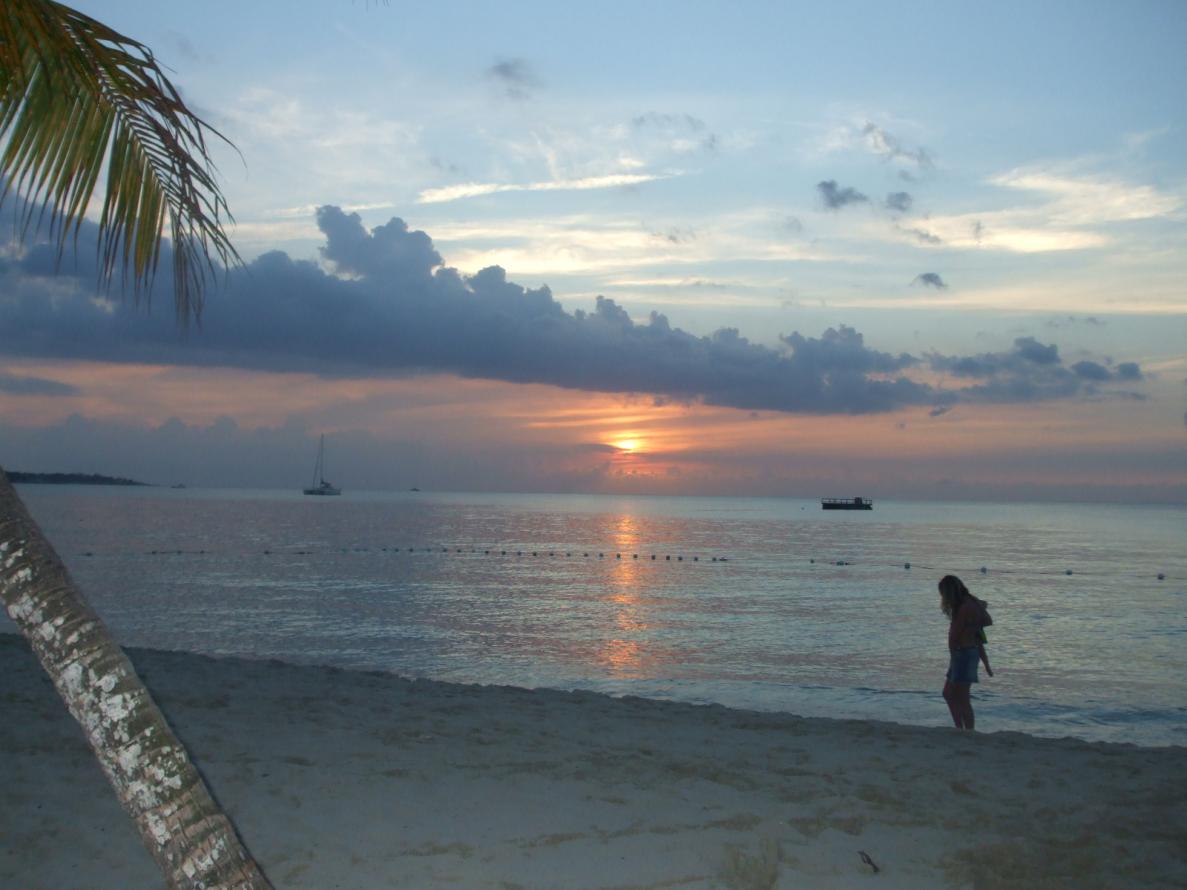 Name:  DSCF3291.jpg
Views: 433
Size:  85.6 KB