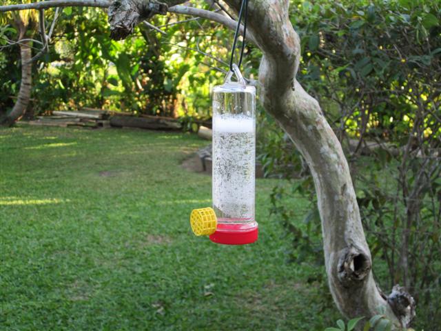 Name:  2012 - December 020 (Small).jpg
Views: 817
Size:  70.0 KB
