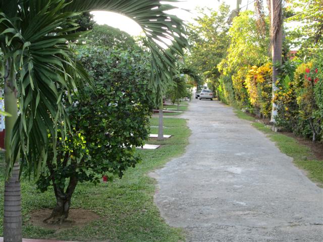 Name:  2012 - December 022 (Small).jpg
Views: 810
Size:  77.4 KB