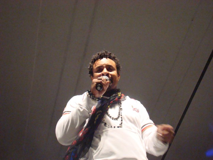 Name:  shaggy.jpg
Views: 323
Size:  54.0 KB
