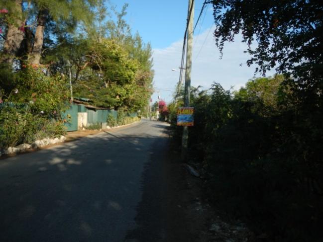 Name:  DSCN0052a.jpg
Views: 825
Size:  45.4 KB