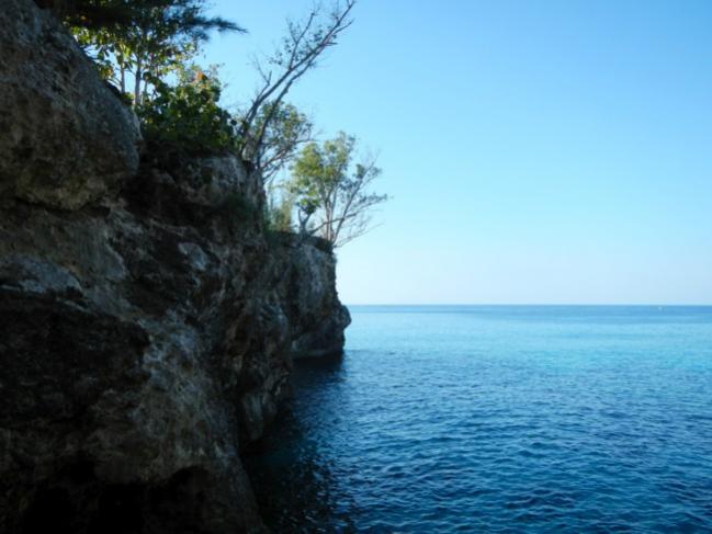 Name:  DSCN0059a.jpg
Views: 856
Size:  39.3 KB