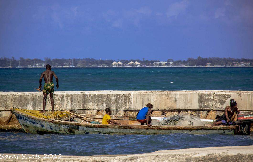 Name:  IMG_5666-2.jpg
Views: 638
Size:  95.3 KB