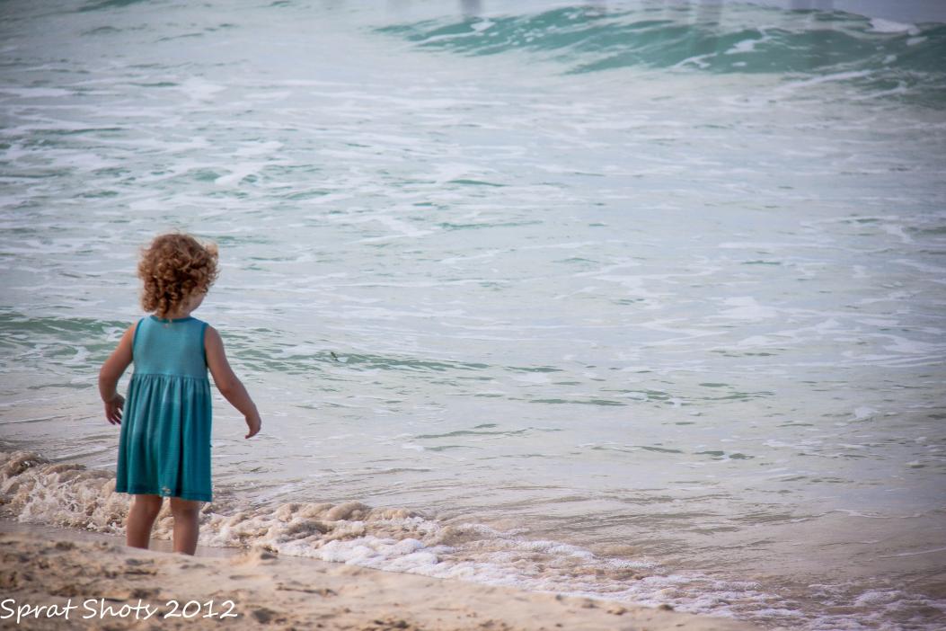 Name:  IMG_4801.jpg
Views: 671
Size:  93.2 KB
