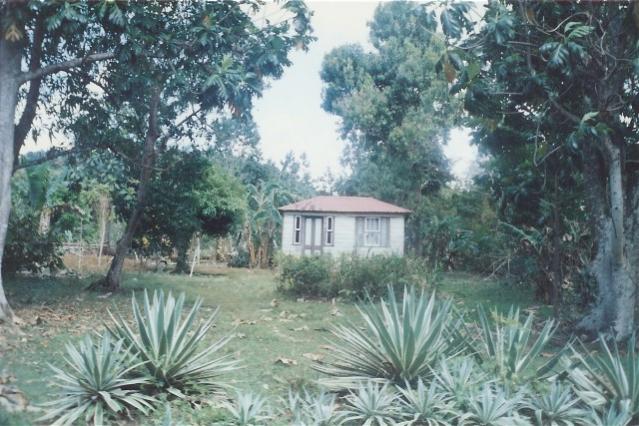 Name:  OLD JAMAICA PICTURES 010.jpg
Views: 299
Size:  61.9 KB