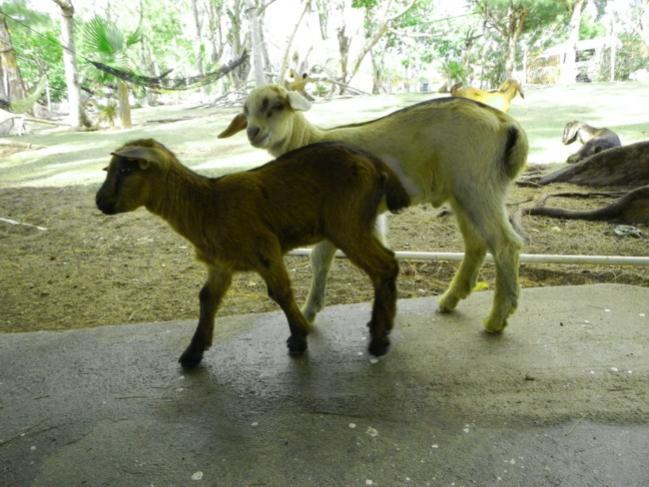 Name:  031a.jpg
Views: 737
Size:  54.6 KB