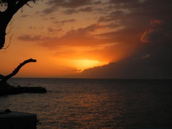 Name:  DSCN0277a.jpg
Views: 515
Size:  22.8 KB