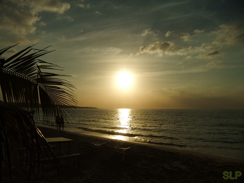 Name:  DSCF2378 (Copy).JPG
Views: 207
Size:  85.9 KB