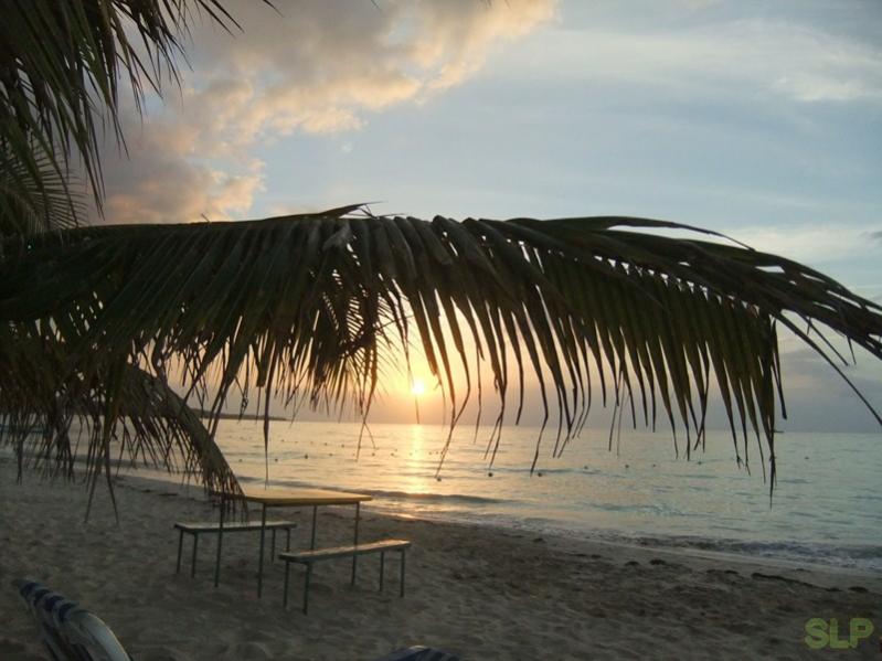 Name:  DSCF2379 (Copy).jpg
Views: 230
Size:  61.5 KB