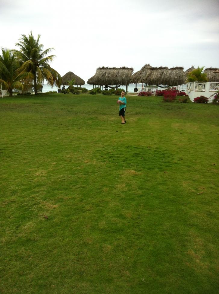 Name:  IMG_1116.jpg
Views: 419
Size:  96.7 KB