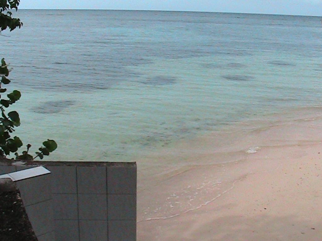 Name:  PIC_0376.jpg
Views: 432
Size:  77.7 KB