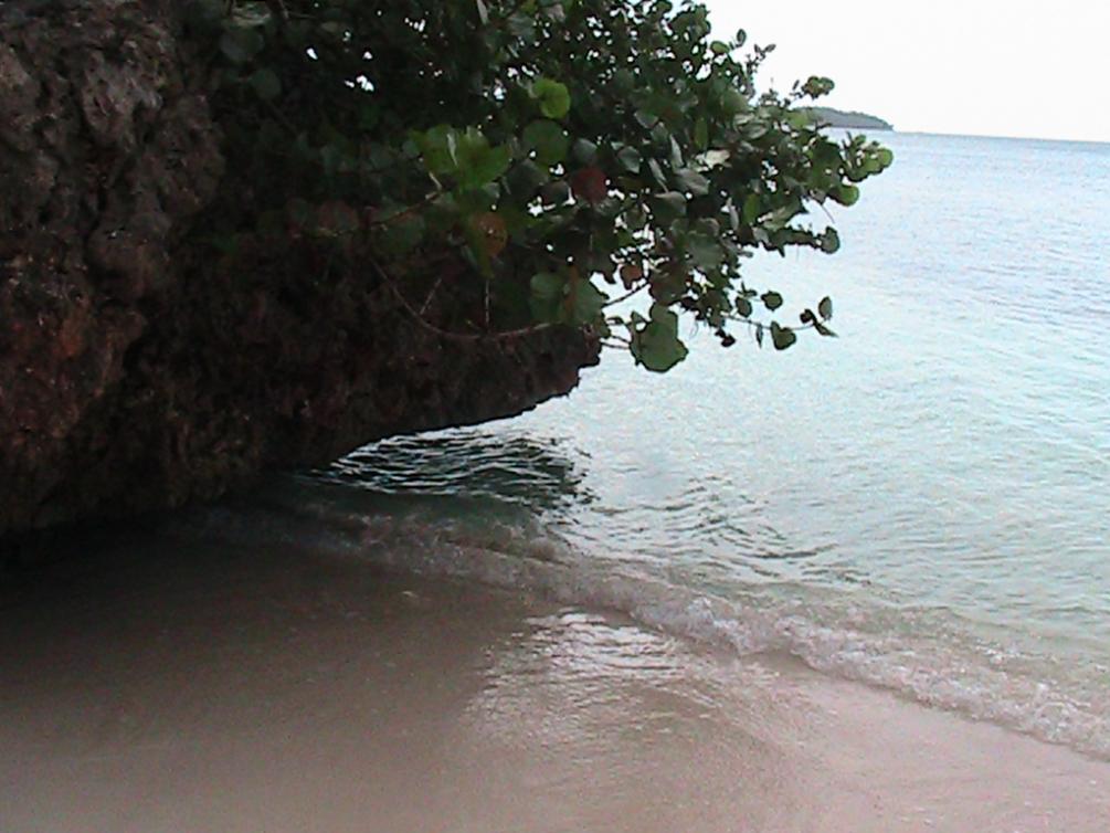 Name:  PIC_0379.jpg
Views: 395
Size:  89.5 KB