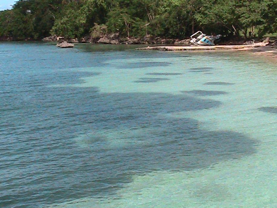 Name:  PIC_0339.jpg
Views: 442
Size:  93.3 KB