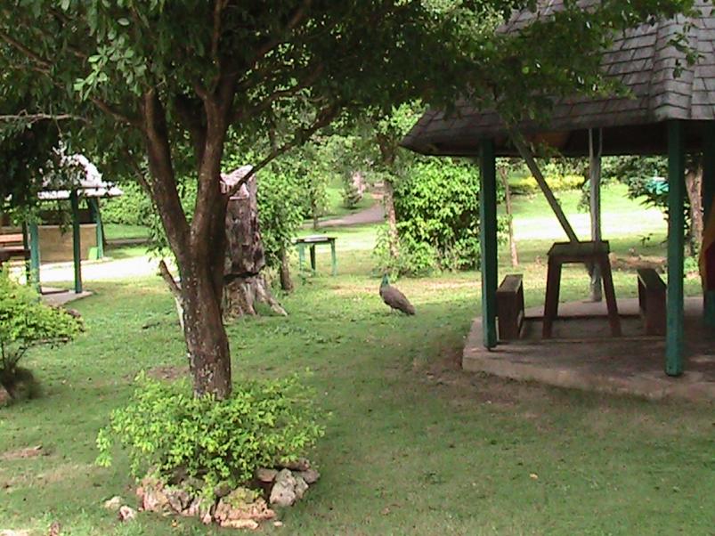 Name:  PIC_0371.jpg
Views: 434
Size:  99.0 KB