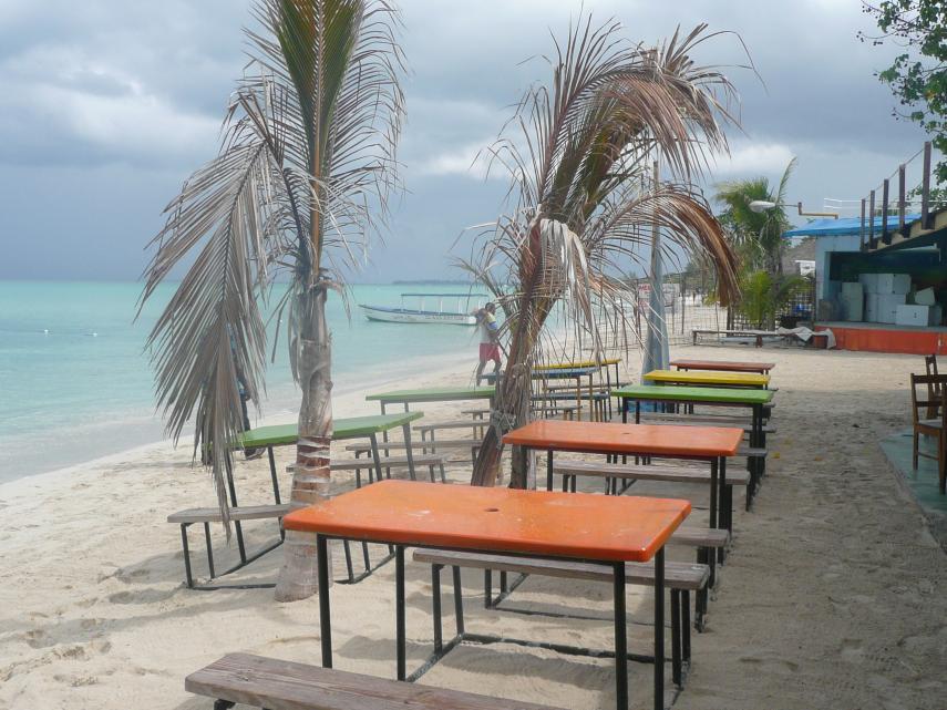 Name:  jamaica 2009 me and nicole 362.jpg
Views: 384
Size:  97.1 KB