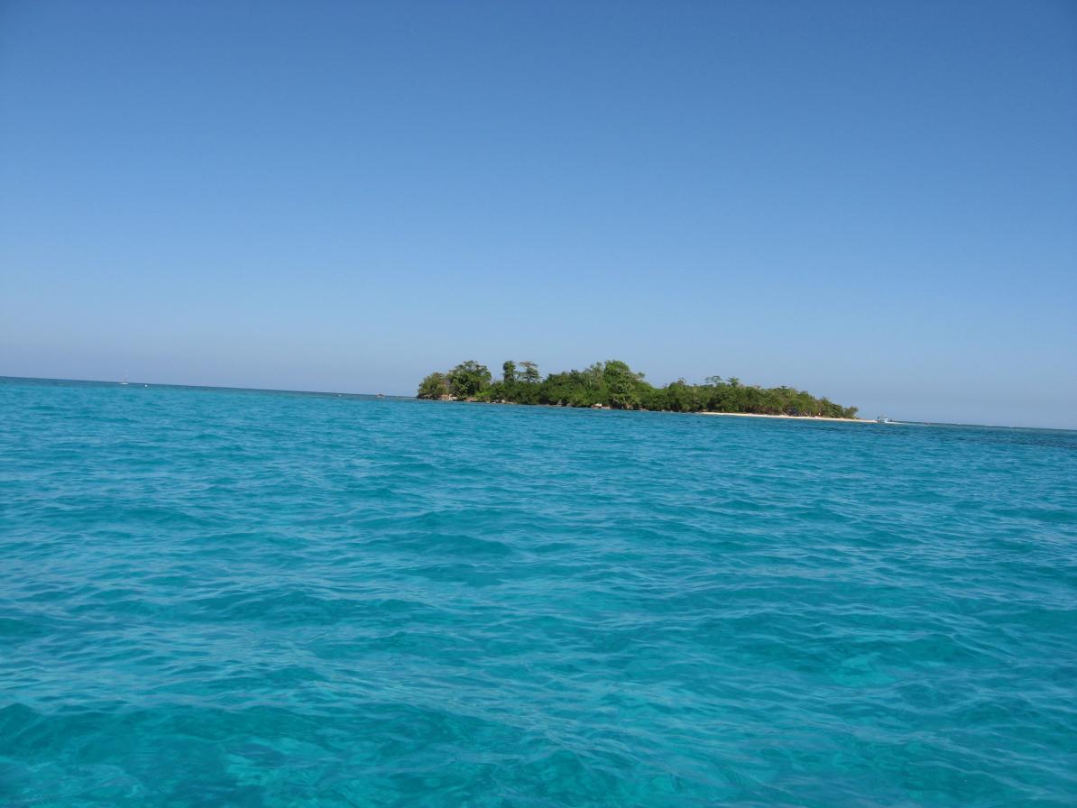 Name:  IMG_1739.jpg
Views: 419
Size:  89.4 KB